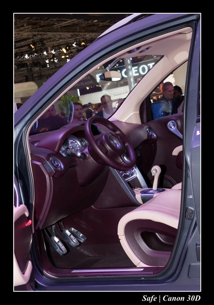 2006 - 10 - Mondial auto Paris 289